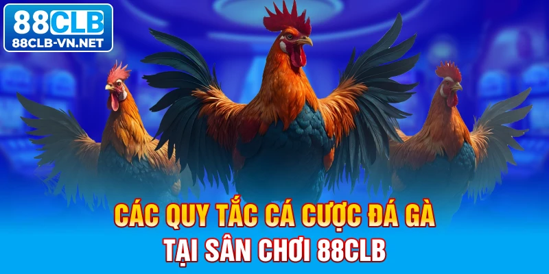 Các quy tắc cá cược đá gà tại sân chơi 88CLB