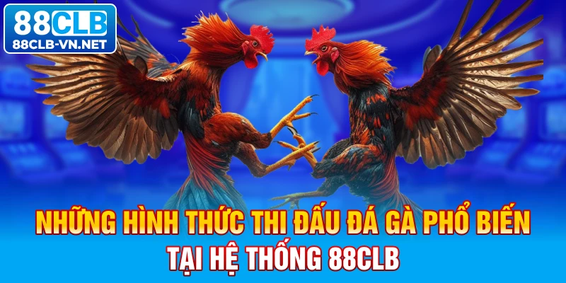 Những hình thức thi đấu đá gà phổ biến tại hệ thống 88CLB