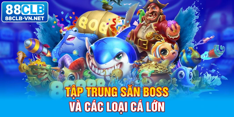 Tập trung săn boss và các loại cá lớn